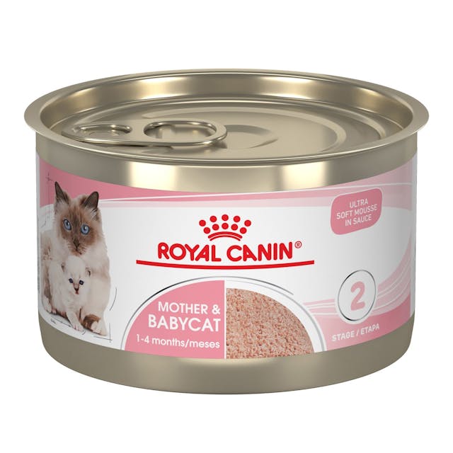 Alimento Húmedo Para Gatos Royal Canin Mother & Babycat 195 g