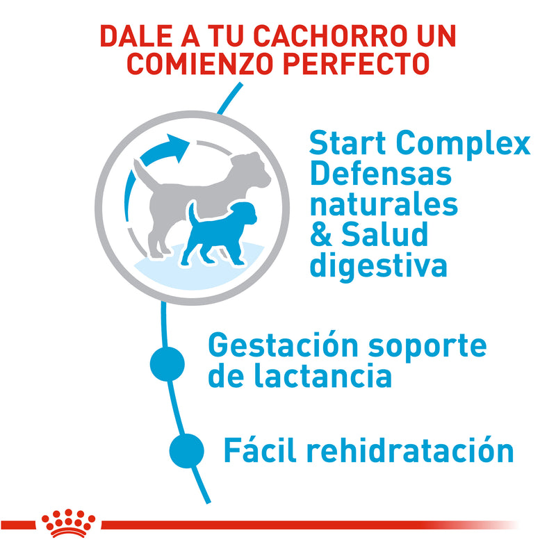 Alimento Para Perro Royal Canin Starter Mother & Babydog Mini 1 Kg