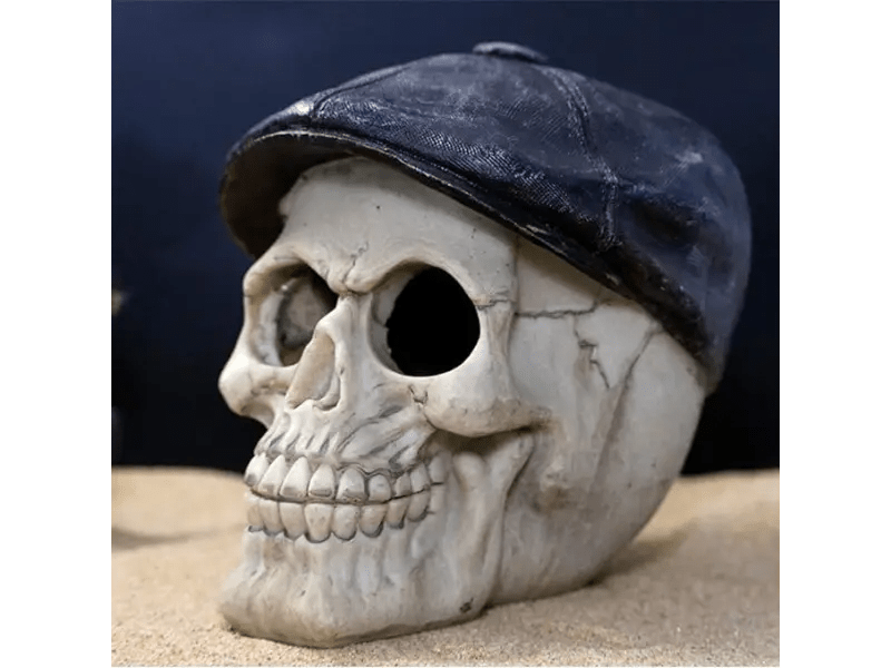 Calavera Con Boina Para Acuario