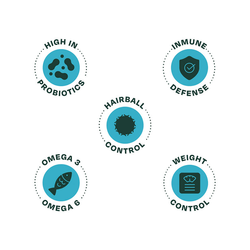 Alimento Seco Para Gato Bonnat Esterilizado 1.5 Kg