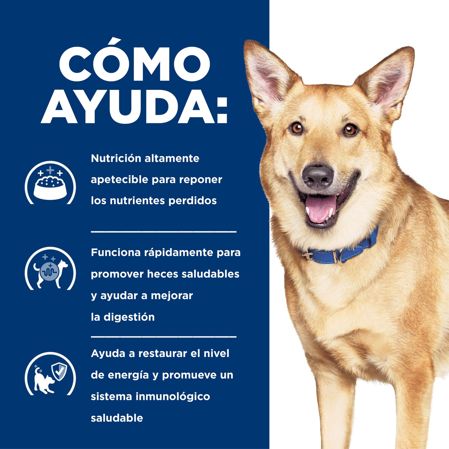 Comida Húmeda Para Perros Hills Prescription Diet Digestive Care I/D Pollo