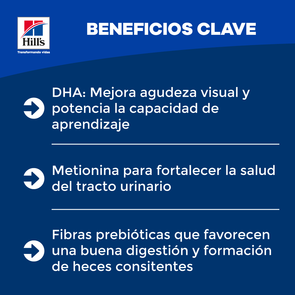 Alimento Para Gatos Hills Indoor Adultos 1-6