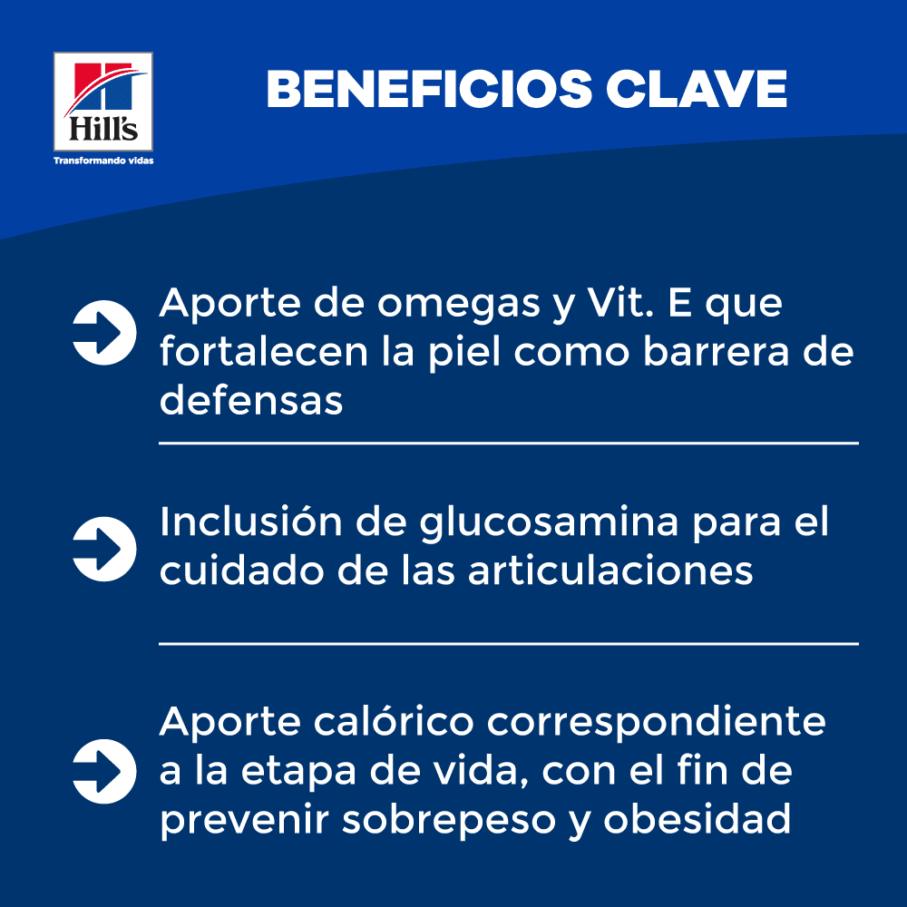 Alimento Para Perro Hill's Adulto Small Paws 1-6 Pollo y Arroz