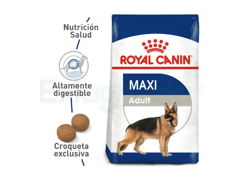 Alimento Para Perro Royal Canin Adulto Maxi