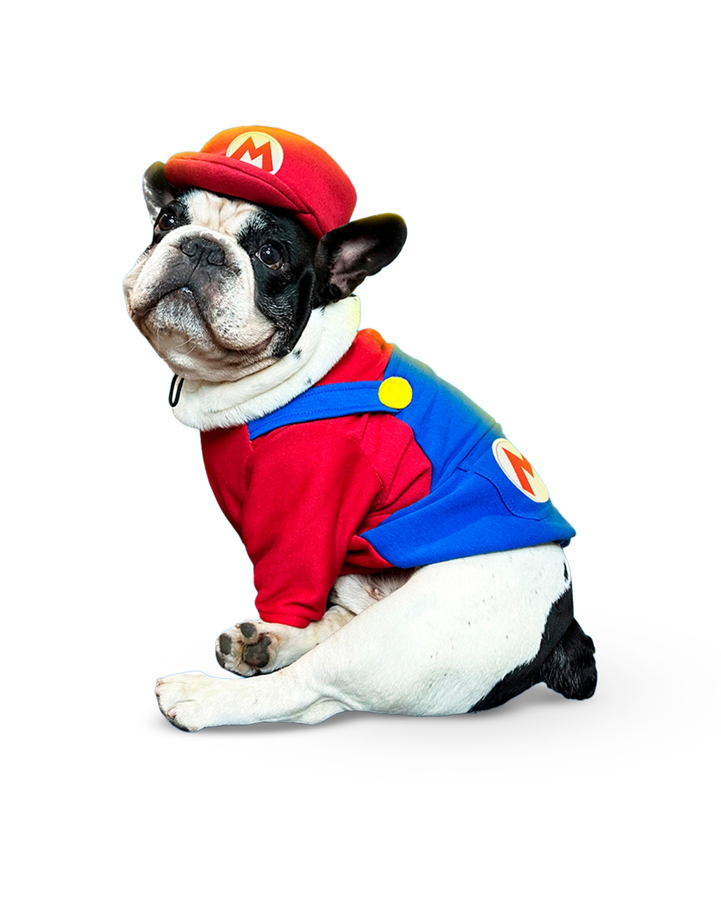 Disfraz de Mario Bros para Perros | Traje Divertido de Halloween