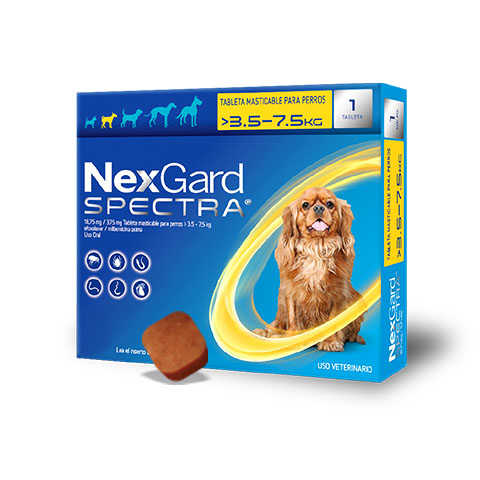 DESP. INT. Y EXT. C. NEXGARD SPECTRA S AMARILLO (3.5-7.5KG)