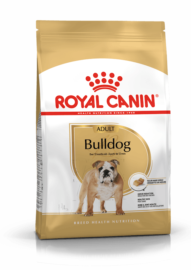Alimento para perro Royal Canin Bulldog Ingles Adulto
