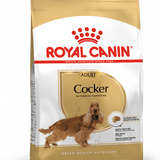 Alimento para perro Royal Canin Cocker Adulto 3 Kg