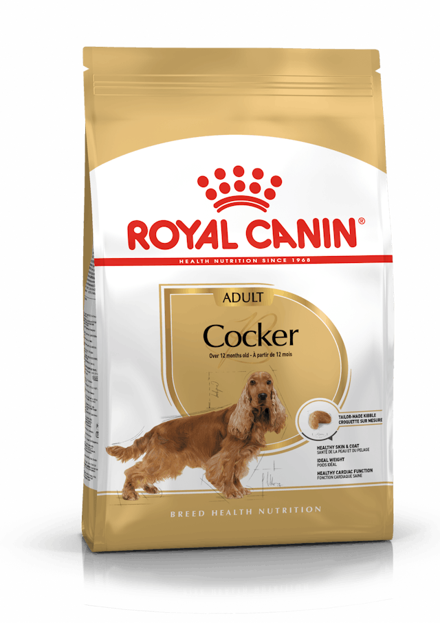 Alimento para perro Royal Canin Cocker Adulto 3 Kg