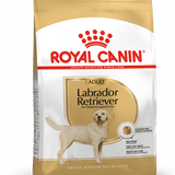Alimento para Perro Royal Canin Labrador Retriever Adulto