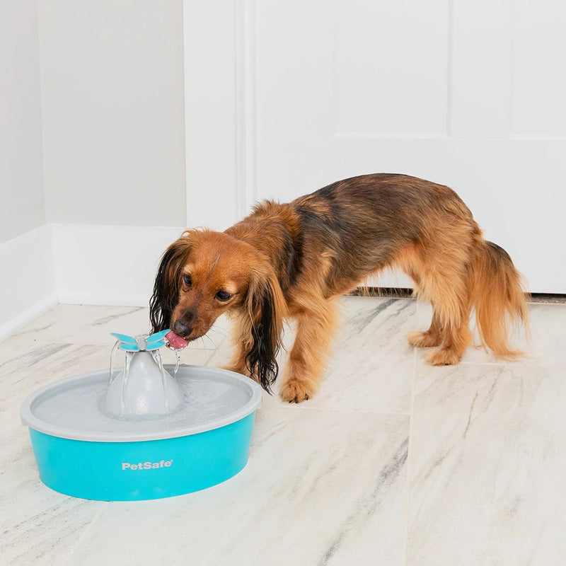 Fuente Para Mascota Butterfly de PetSafe