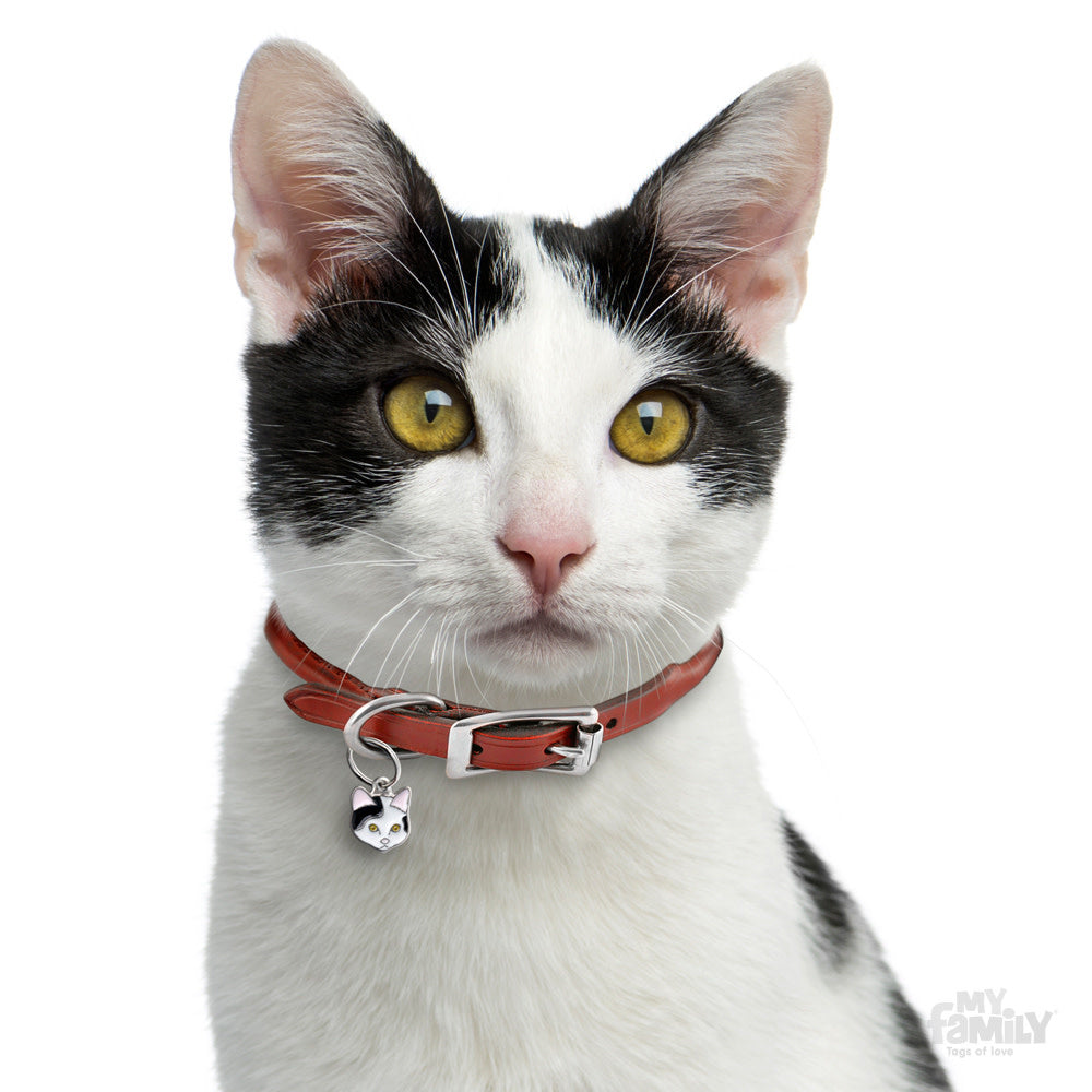 Placa de Identificación Gato Europeo Blanco