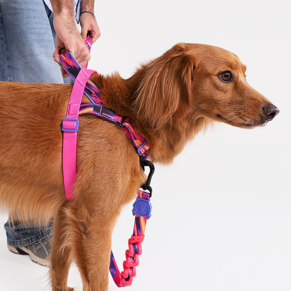 Softer Walk Harness Glitch Error #500
