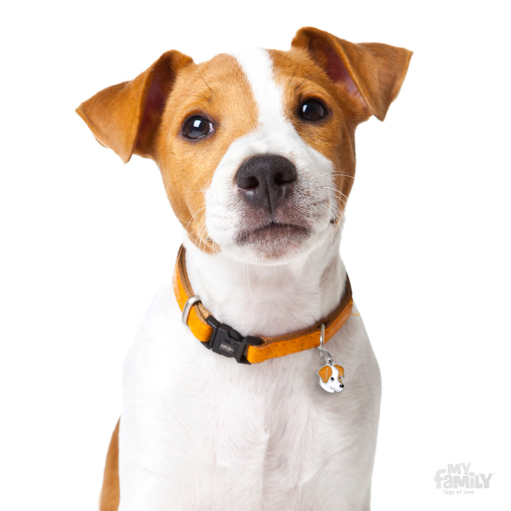 Placa de Identificación Jack Russell