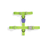 Arnes en H Zeedog Lumen