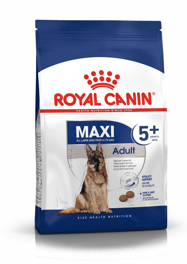 Alimento Para Perro Royal Canin Maxi Adulto 5+
