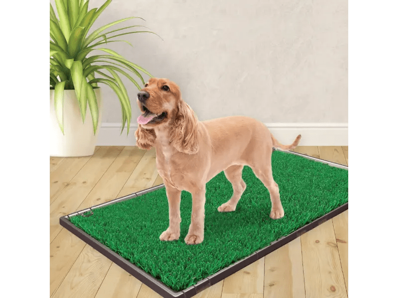 Kit De Expansión Del Sistema De Orinal Para Mascotas Wee-Wee® Premium Patch®