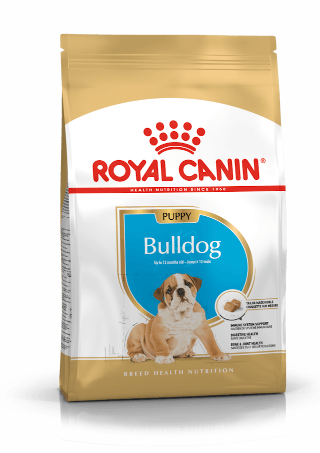 Alimento para perro Royal Canin Bulldog Ingles Puppy