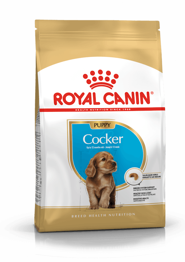 Alimento Para Perro Royal Canin Cocker Puppy