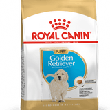 Alimento Para Perro Royal Canin Golden Retriever Puppy