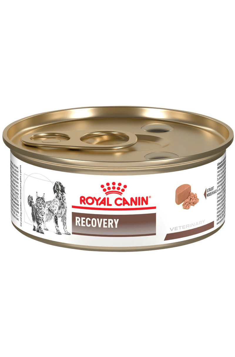 Royal Canin Recovery Lata 165gr