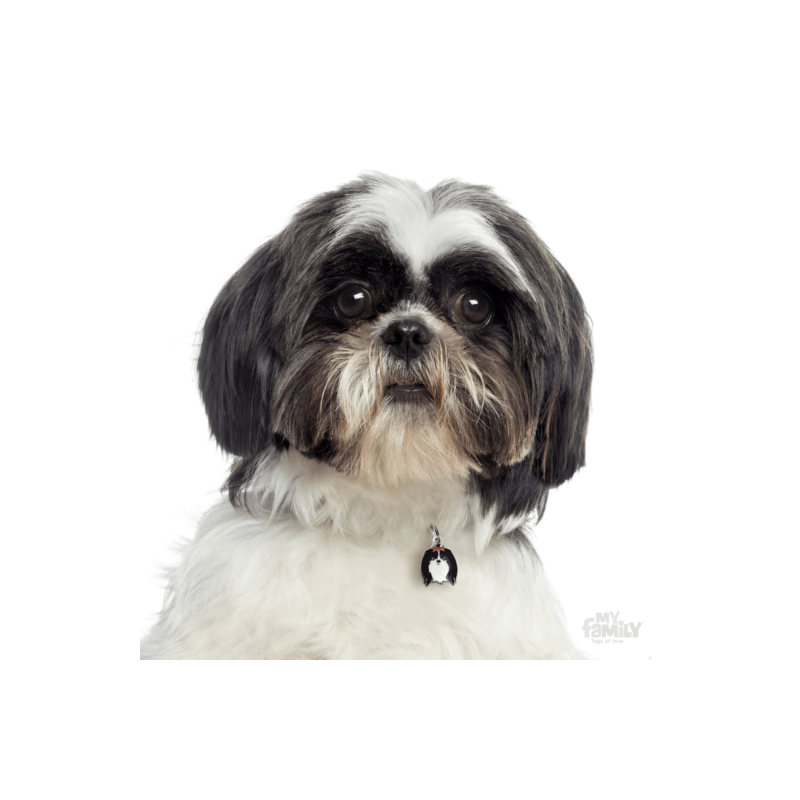 Placa de Identificación Shih Tzu Blanco y Negro Niña