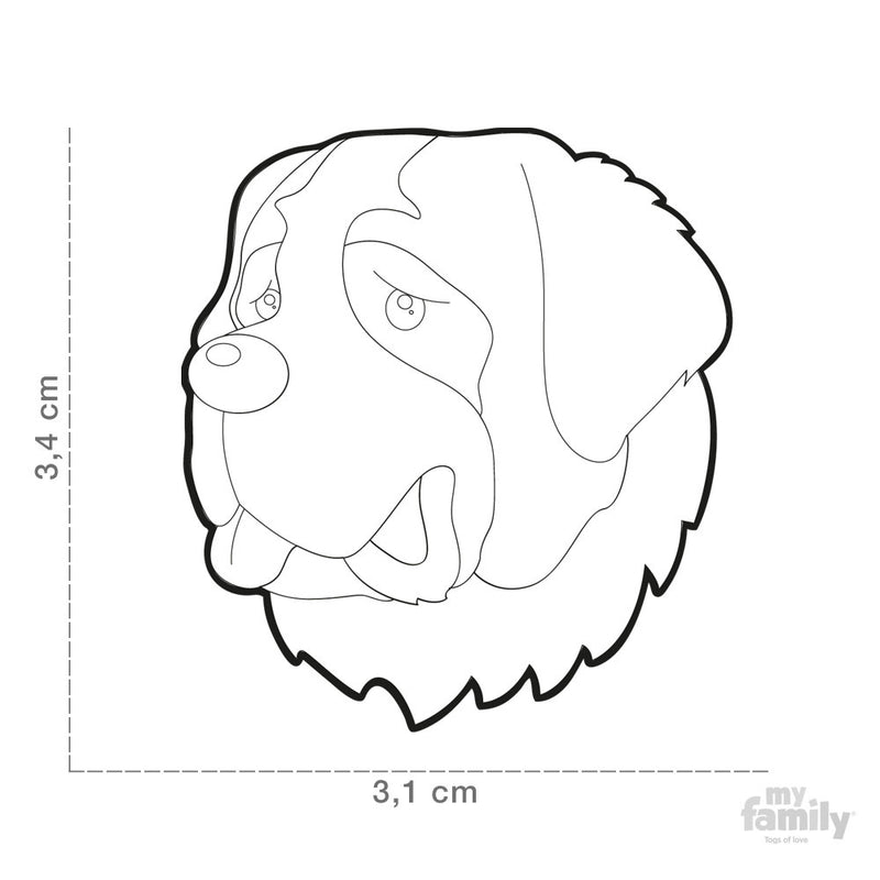 Placa de Identificación San Bernardo.