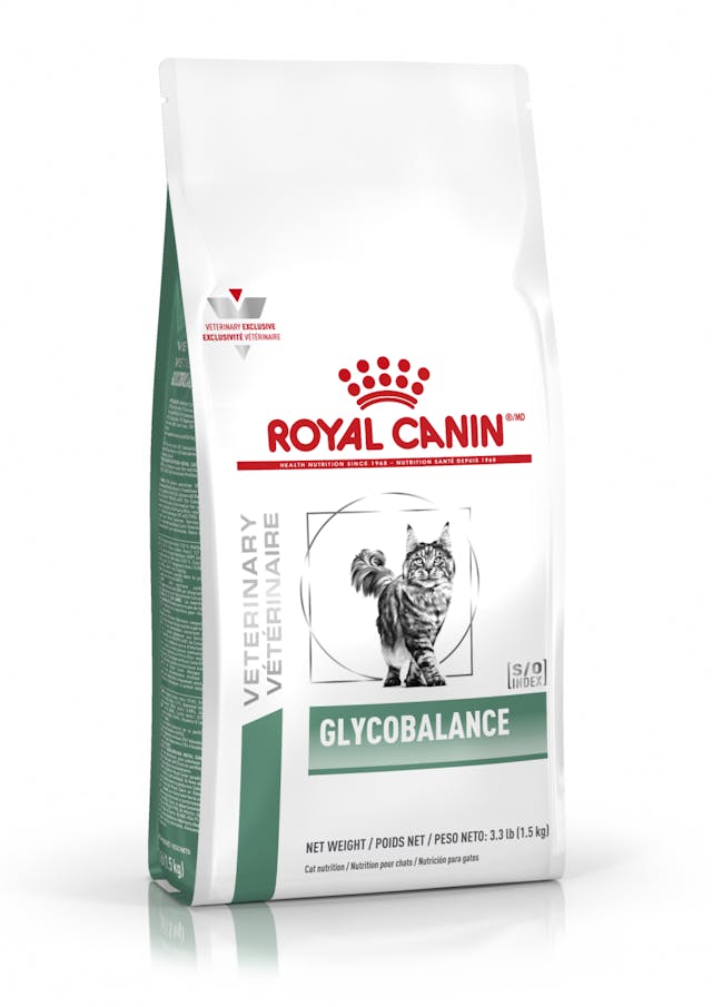 Alimento Para Gato Royal Canin Glycobalance