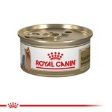 Alimento Húmedo Para Perro Royal Canin Yorkshire Terrier Adulto 85g