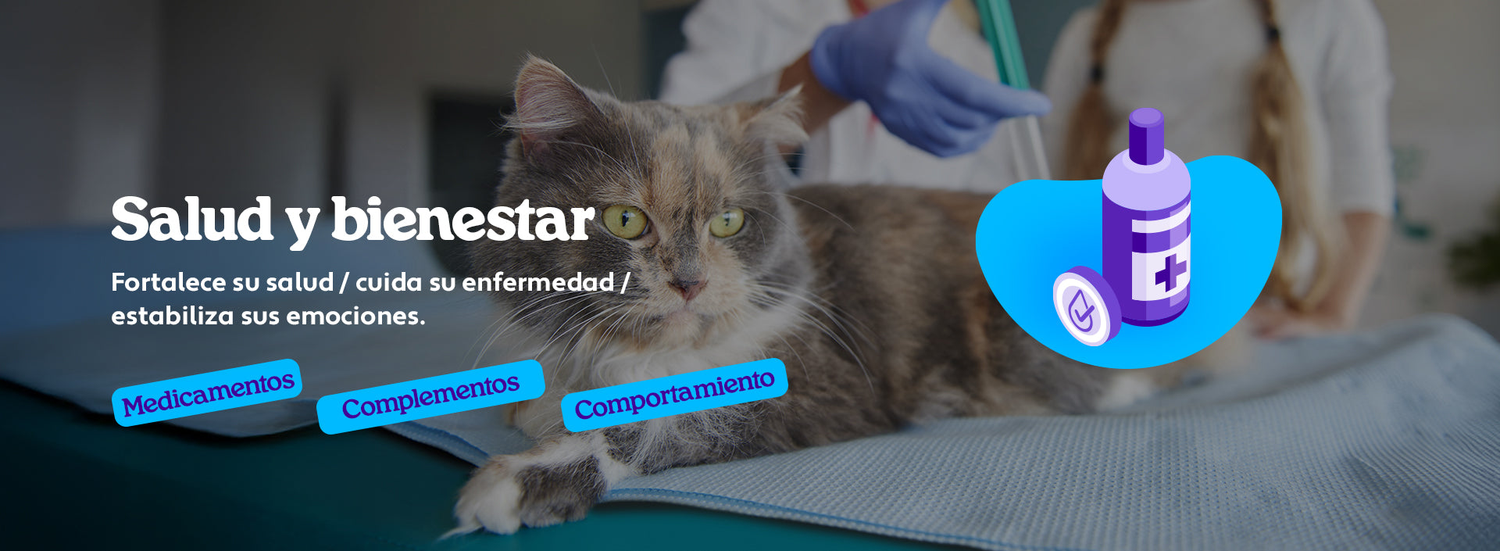 Mundo Gabrica Salud y bienestar Para Gato