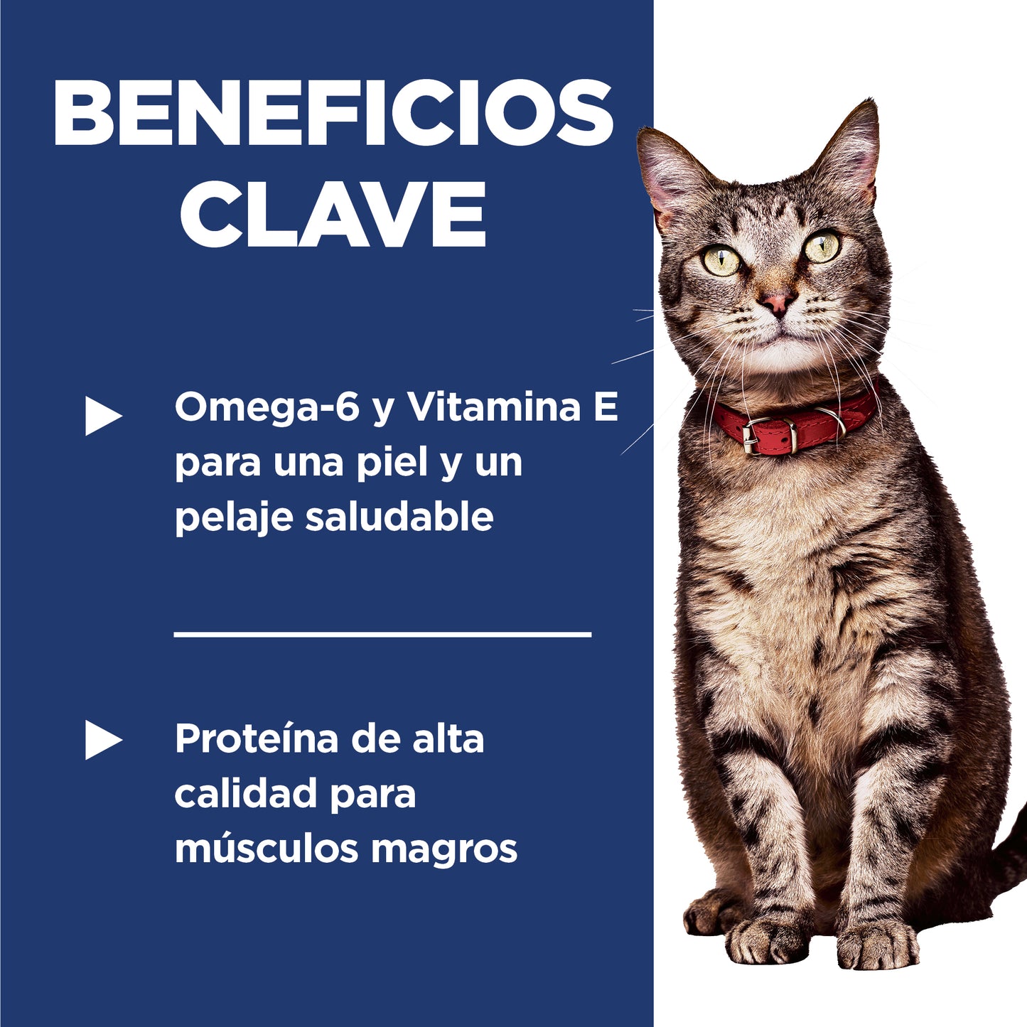 Comida para gato Hills Optimal Care  Adulto
