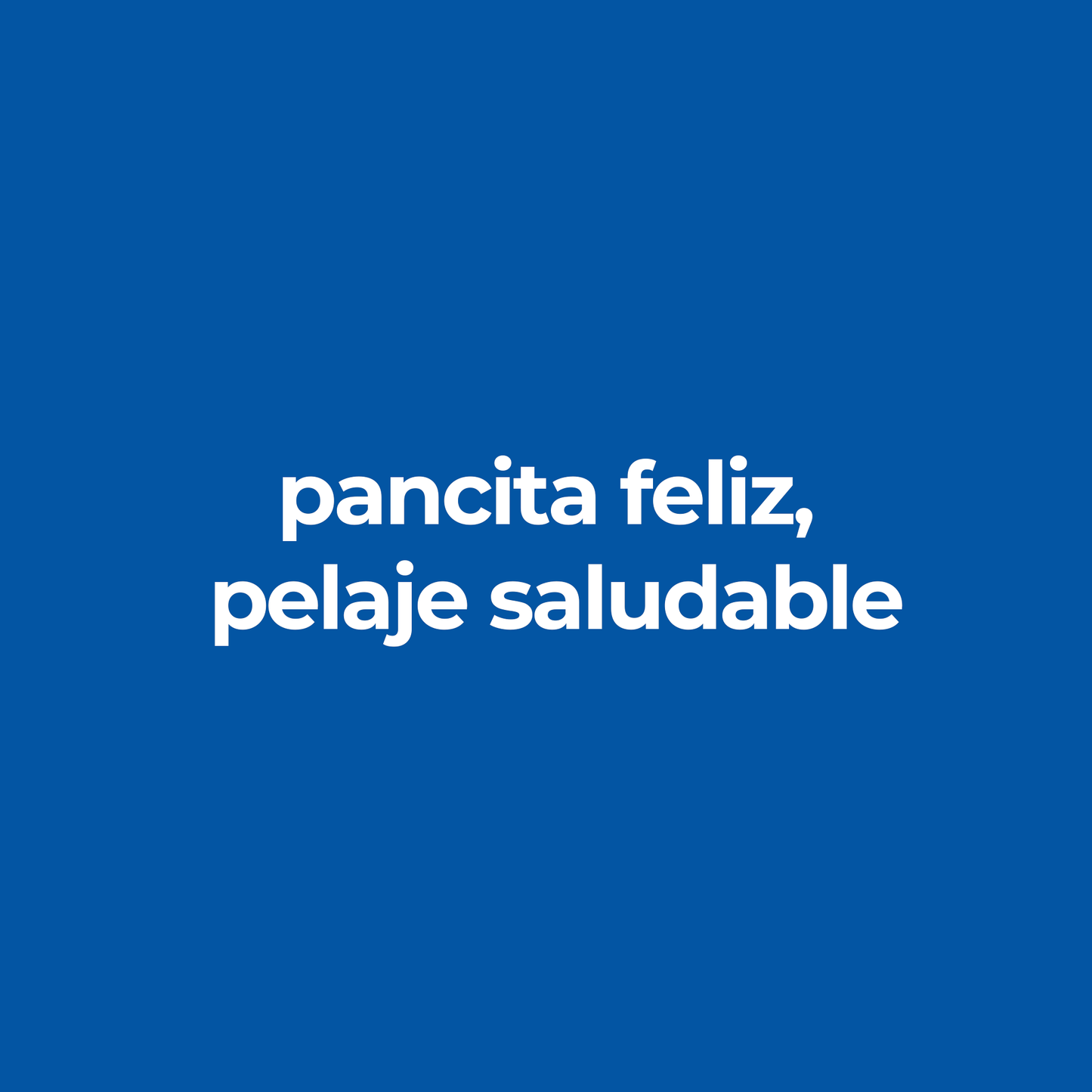Comida Para Perro Hills Adulto Estomago Sensible