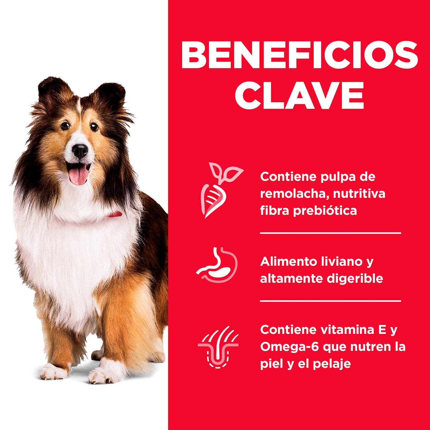 Comida Para Perro Hills Adulto Estomago Sensible