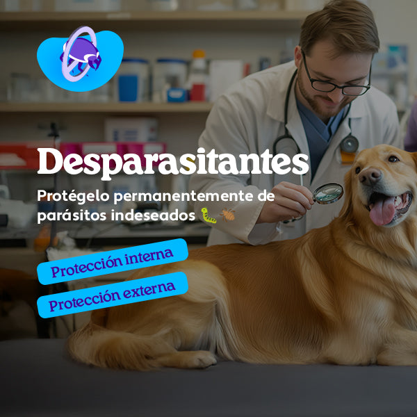 Mobile Image