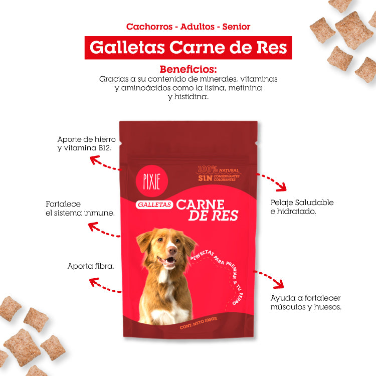 PIXIE GALLETA CARNE DE RES