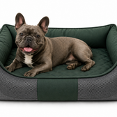 Cama Ortopédica Impermeable para Perros – Espuma 5 cm