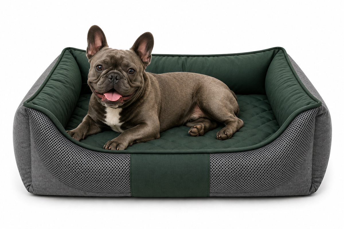 Cama Ortopédica Impermeable para Perros – Espuma 5 cm