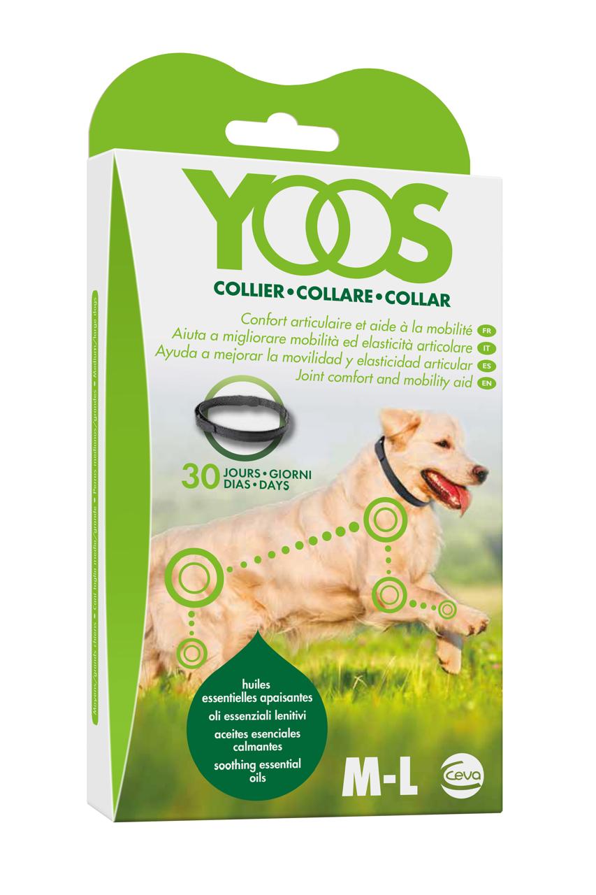 Collar Yoos Perros