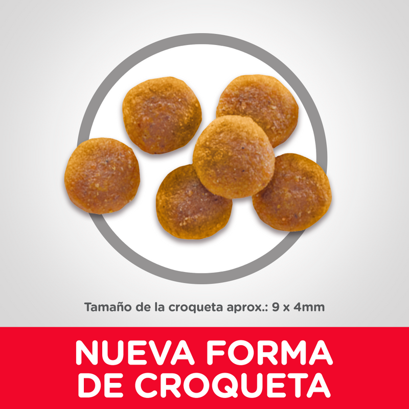 Comida para gato Hills Optimal Care Adulto