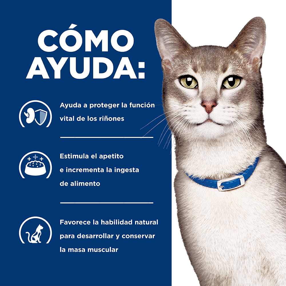 Comida Para Gato Hills Prescription Diet Bienestar Renal K/D Pollo