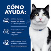 Comida Para Gato Hills Prescription Diet Digestive Care I/D Pollo