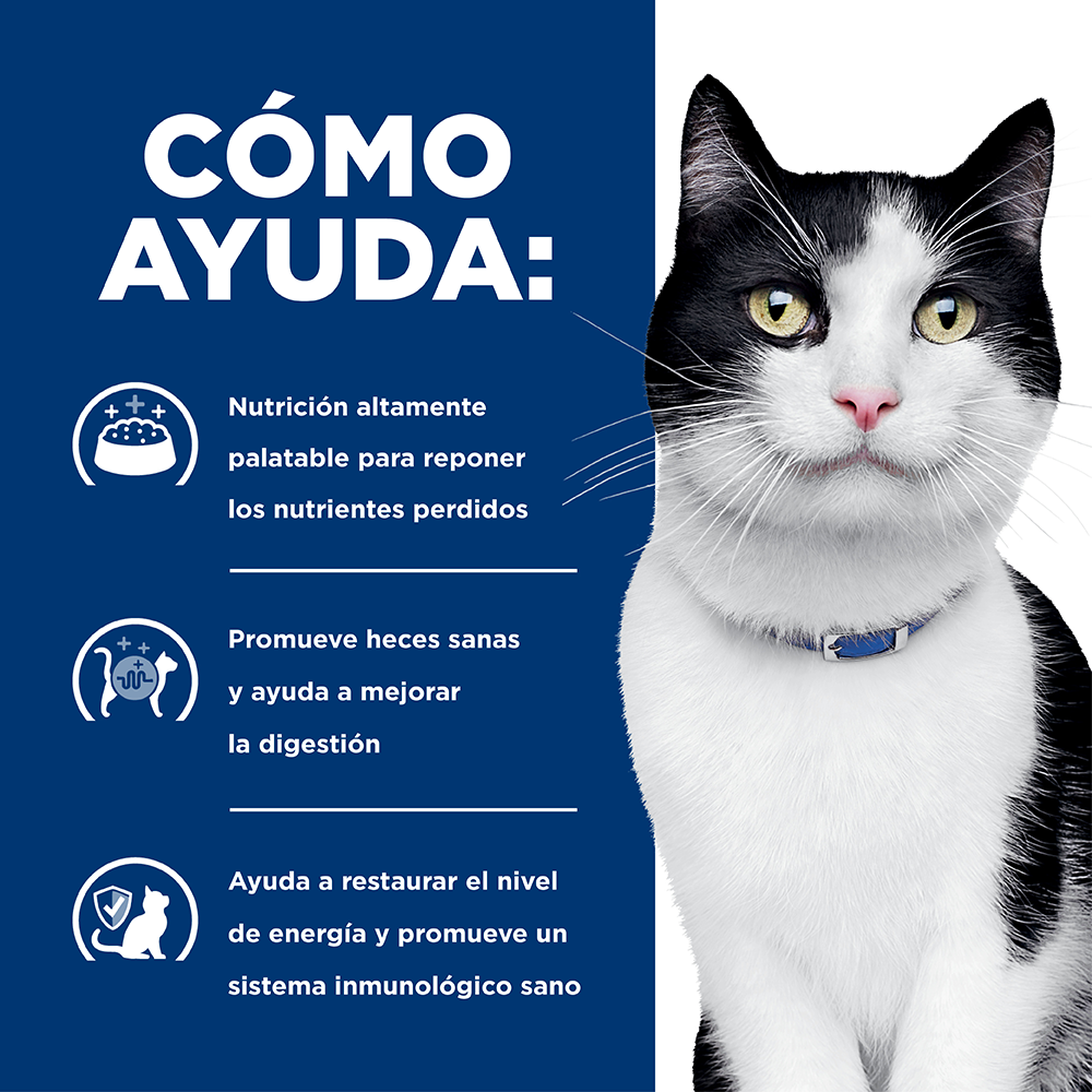 Comida Para Gato Hills Prescription Diet Digestive Care I/D Pollo