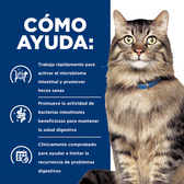 Comida para gato Hills Gastro Biome 4Lbs