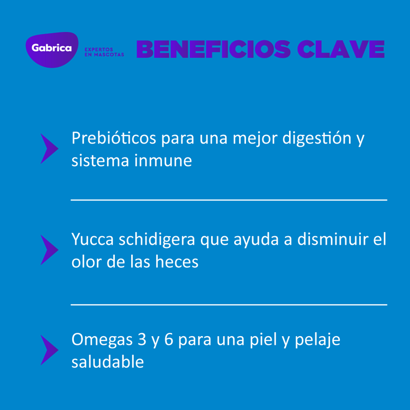 Comida Para Perro Guaumor Cachorro Razas Pequeñas