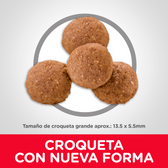 Alimento Para Perro Hills Puppy Large Breed