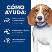 Comida Para Perro Hills  Prescription Diet Reducción De Peso R/D Pollo