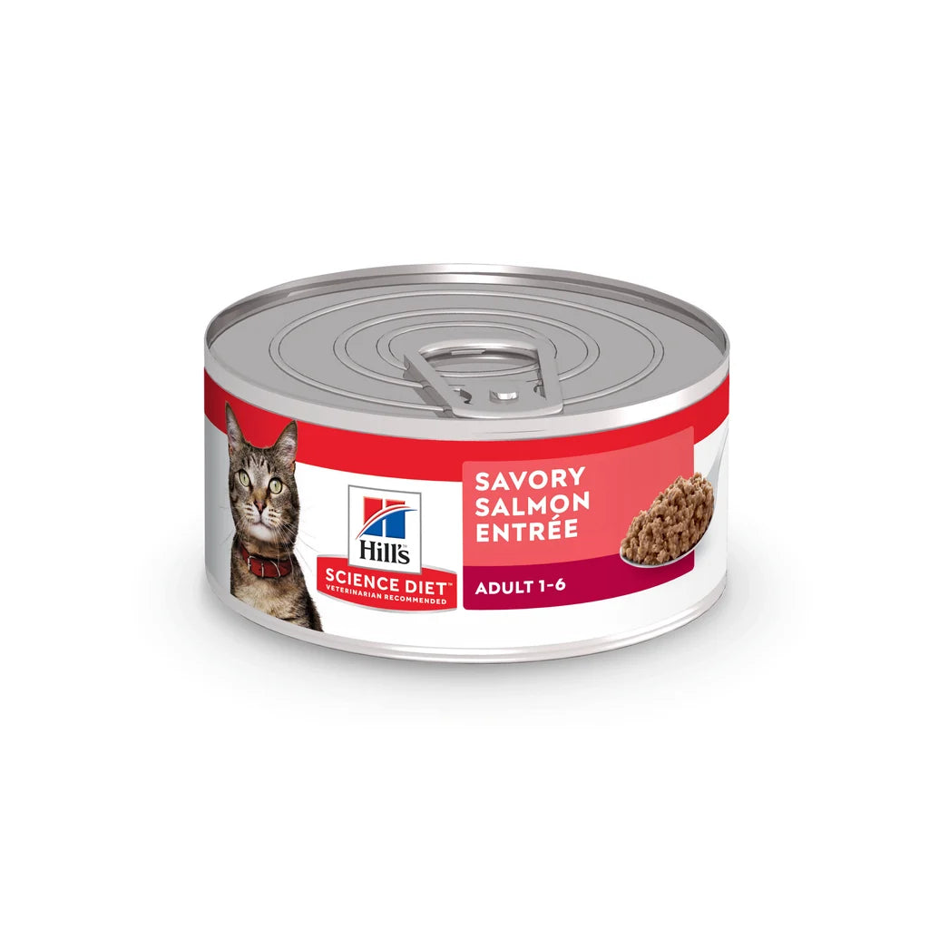 Comida Húmeda Para Gato Hills Salmon