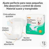 Pañal Postquirurgico Y Antiterritorial X12 Und