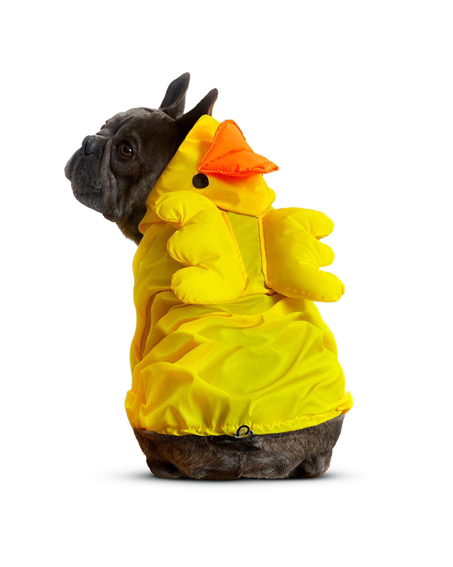 Disfraz de Pato para Perros | Halloween Divertido en Hipermascotas