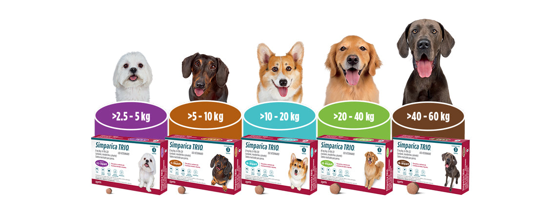 Antiparásitario Interno y Externo para perro  Simparica Trio 1.25Kg - 2.5Kg a 40kg - 60kg 1 Tableta